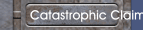 Catastrophic Claim & Inspection