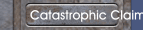 Catastrophic Claim & Inspection
